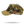 JD TRUCKER CAP