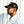 PODIUM CAP